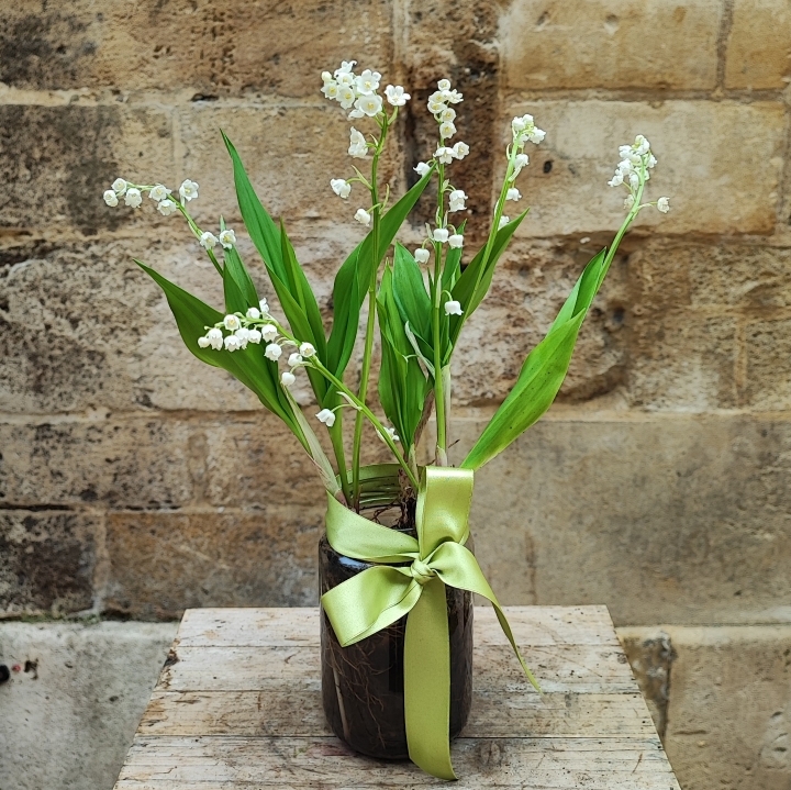 Lily of The Valley Jam Jar (available for delivery 3rd and 4th May)